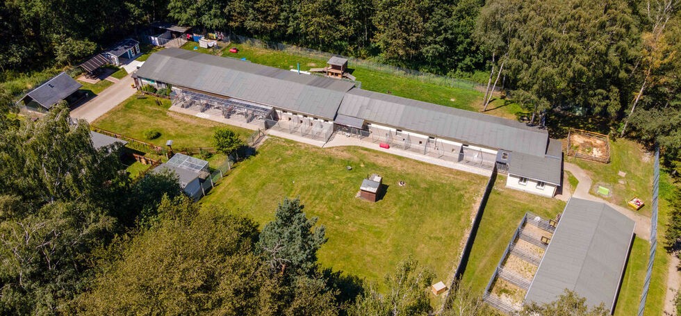 Tierheim von oben